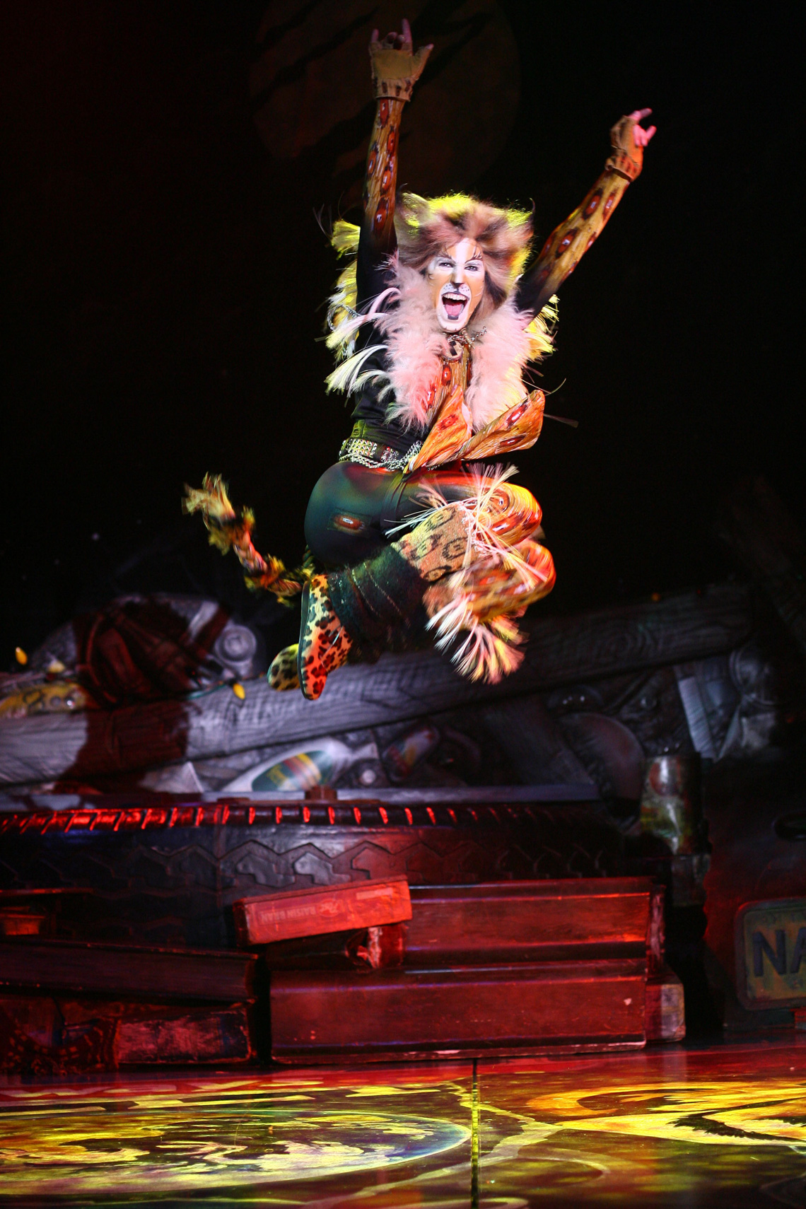 Cats0607-010